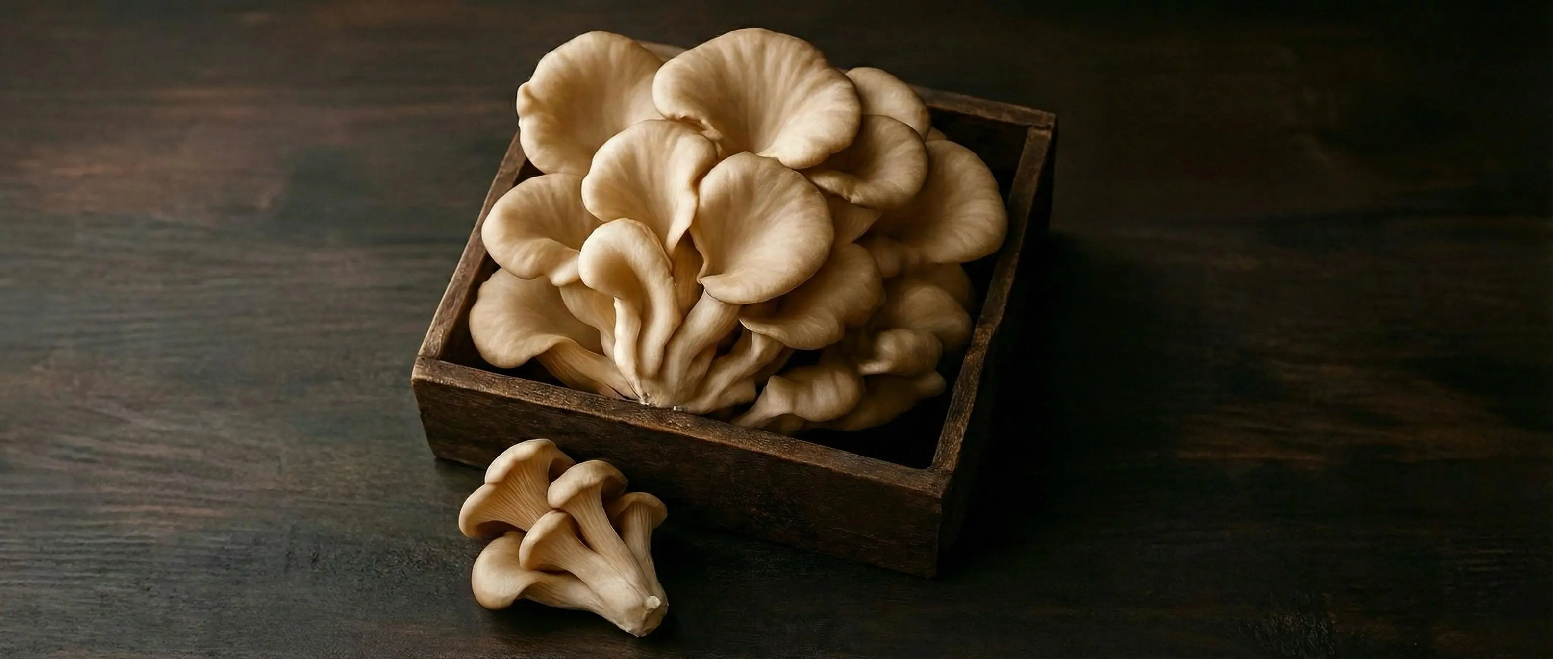 Fresh Oyster Mushrooms