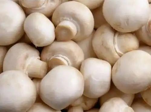 Kaalan(Mushroom) Tikka Masala